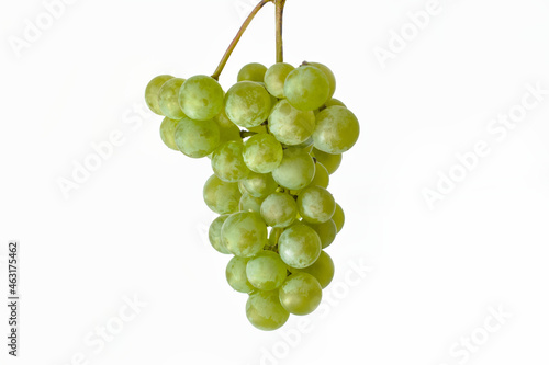 Green grape bunch isolated on white background. High quality photo