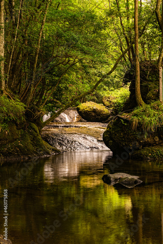 森の中を流れる渓流