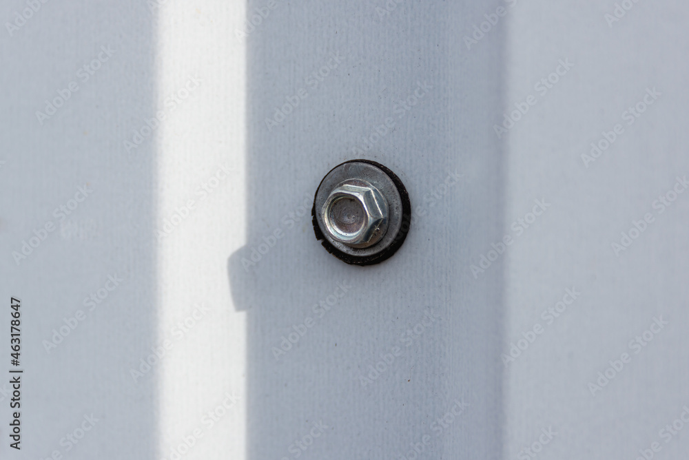 Metal self-tapping screw screwed into the fence. Metal self-tapping screw screwed into the fence.