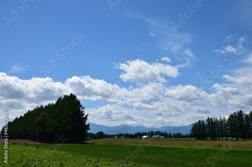 夏の北海道