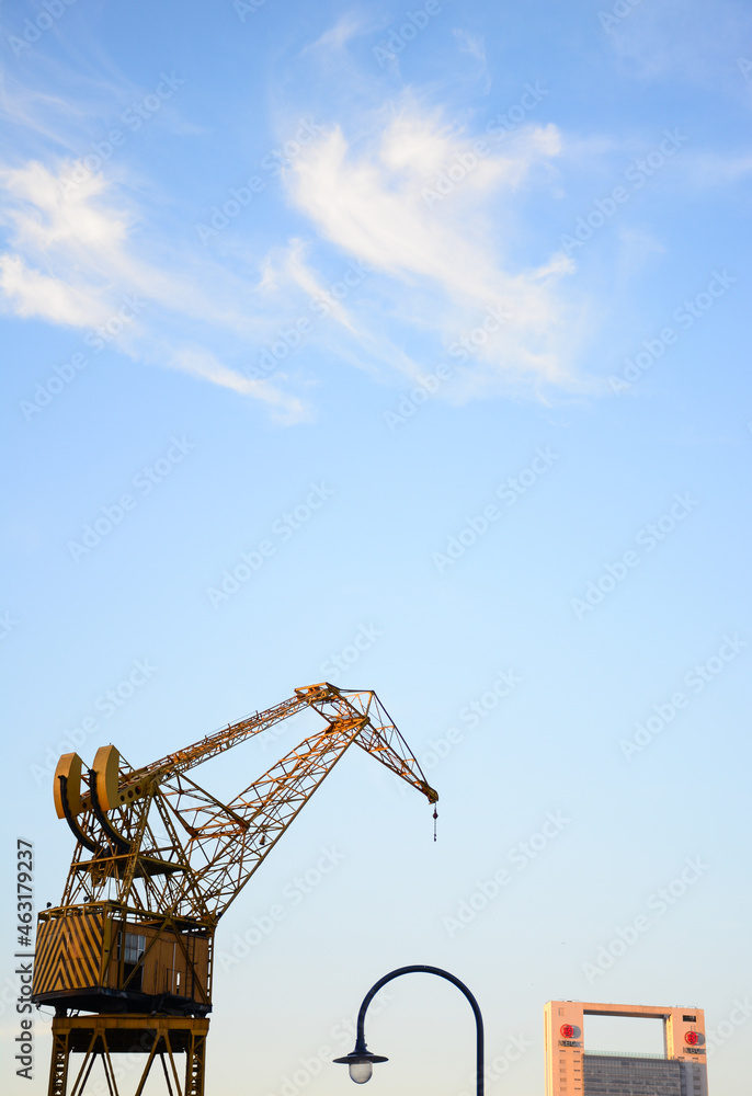 crane on the site crane on the site