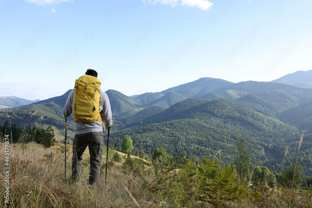 Tourist with backpack and trekking poles enjoying mountain landscape, back view. Space for text