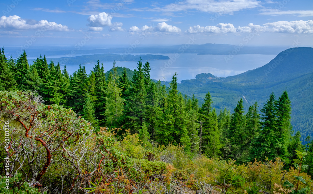 South facing summit of Mount Walker Washington overlooking the Puget Sound South facing summit of Mount Walker Washington overlooking the Puget Sound
