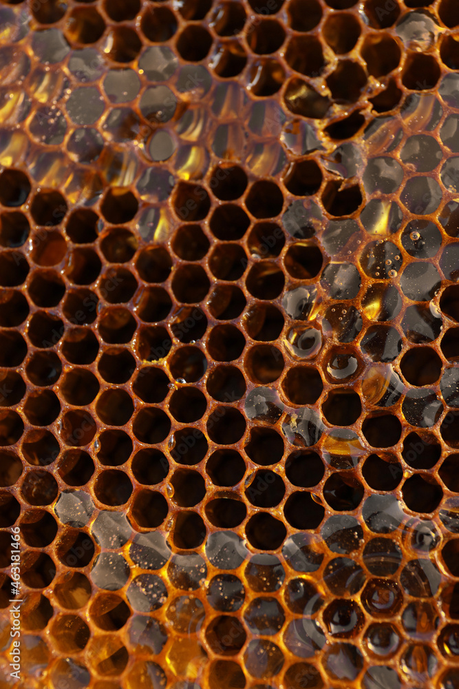 Uncapped filled honeycomb as background, closeup view Uncapped filled honeycomb as background, closeup view