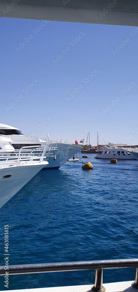 Beautiful yachts in Egypt. White yachts at sea. Marine background.
Beautiful yachts in Egypt. White yachts at sea. Marine background.