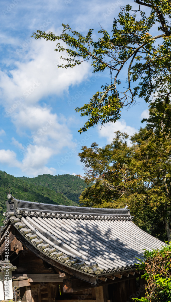 十月　京都大原の青い空