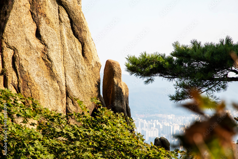 Fototapeta premium 관악산