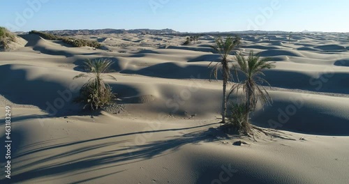 Aerial dolly shot of drone passing between two date trees and sand dunes in beach of chabahar persian gulf or oman sea coast, iran photo