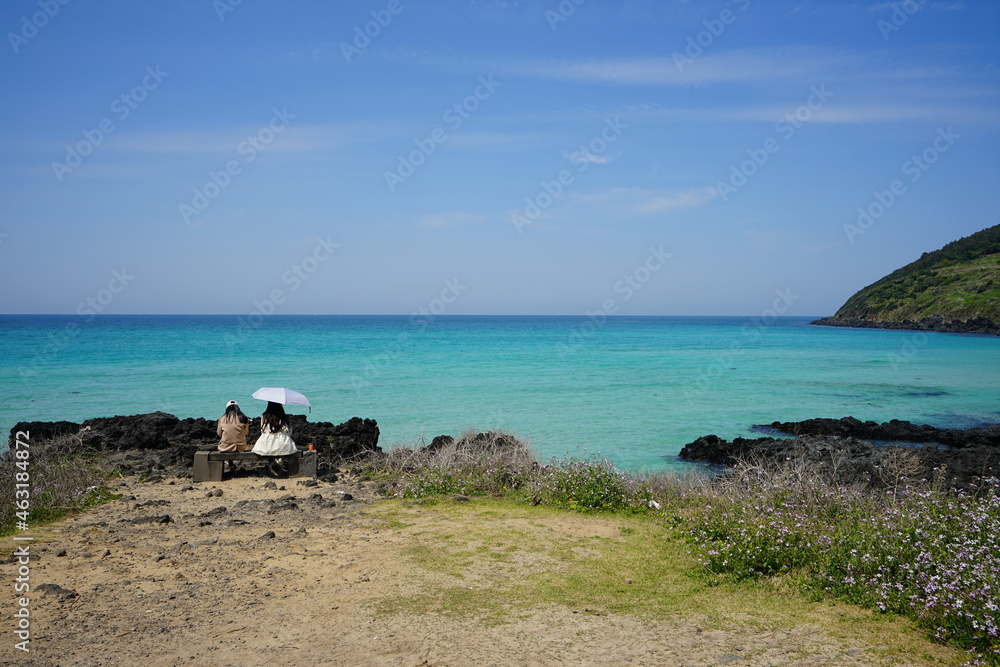 Obraz premium a fascinating seaside landscape with clear water