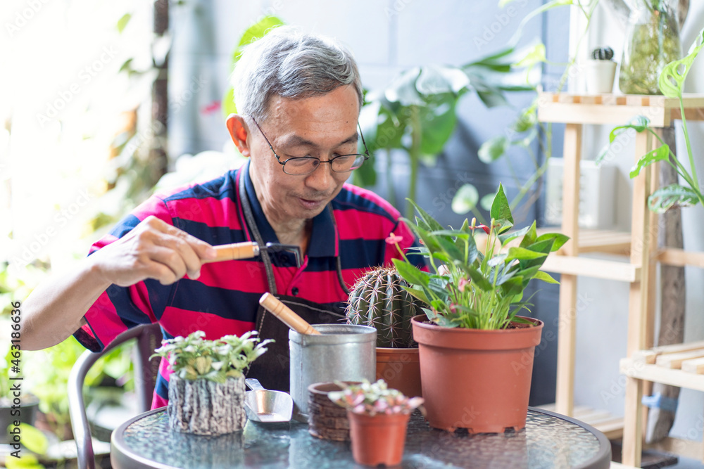 senior, man, people, garden, greenhouse, japan, summer, nature, outdoors, happy, kid, plants, grass, park, person, smiling, plant, green, portrait, window, beautiful, flower, flowers, gardening, sprin senior, man, people, garden, greenhouse, japan, summer, nature, outdoors, happy, kid, plants, grass, park, person, smiling, plant, green, portrait, window, beautiful, flower, flowers, gardening, sprin