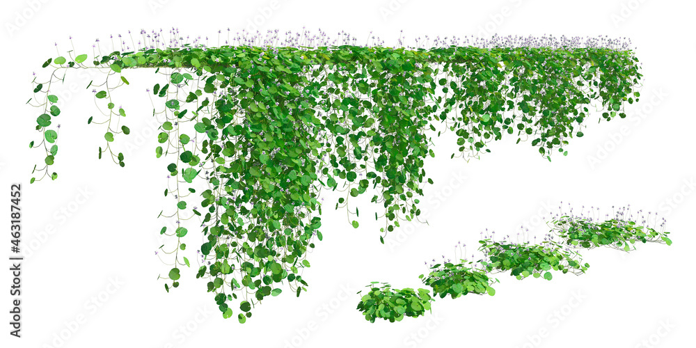 Climbing plants creepers isolated on white background 3d illustration Climbing plants creepers isolated on white background 3d illustration