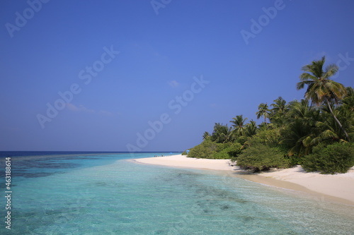 White Sandy Beach and Coconut Trees © Phavit