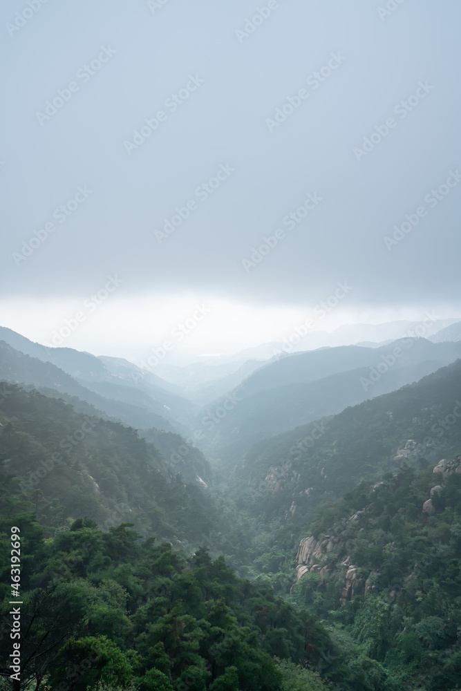 Clouds and mist in the park