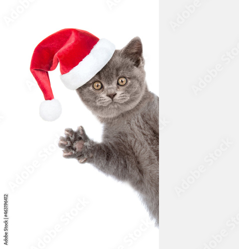 Surprised cat wearing red christmas hat looks from behind empty board. isolated on white background