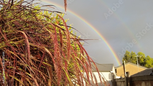 double rainbow