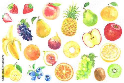 水彩で描いたいろいろな果物のイラストセット
