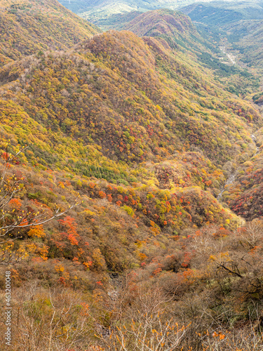 autumn in the mountain © Koz O.