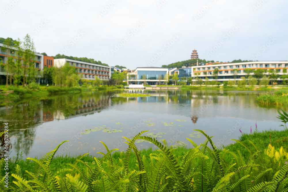 Fototapeta premium Park and lakeside resort, Chongqing, China