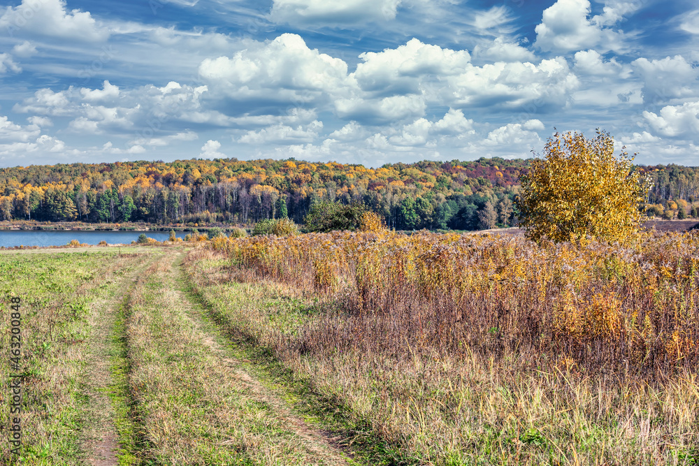 Obraz premium A road in the rural field leading to the lake among lush vegetation. Surroundings colored autumn yellow, red, golden and orange.