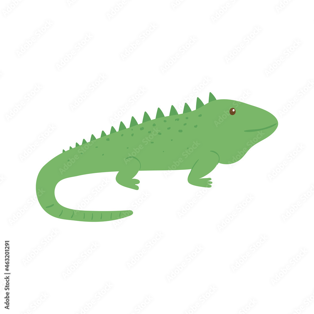 chameleon reptile animal chameleon reptile animal