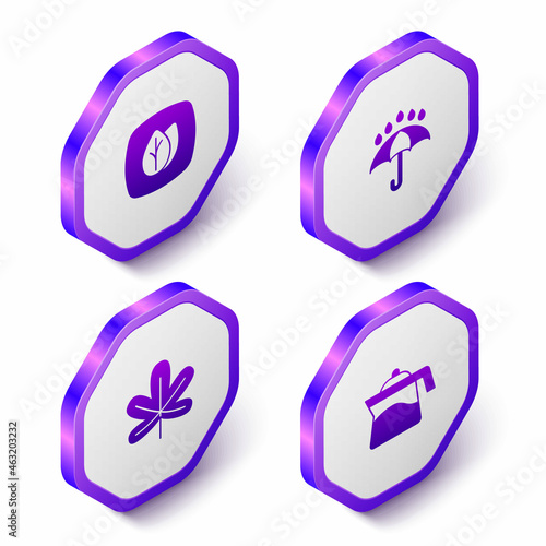 Set Isometric Leaf, Umbrella and rain drops, Chestnut leaf and Teapot icon. Purple hexagon button. Vector