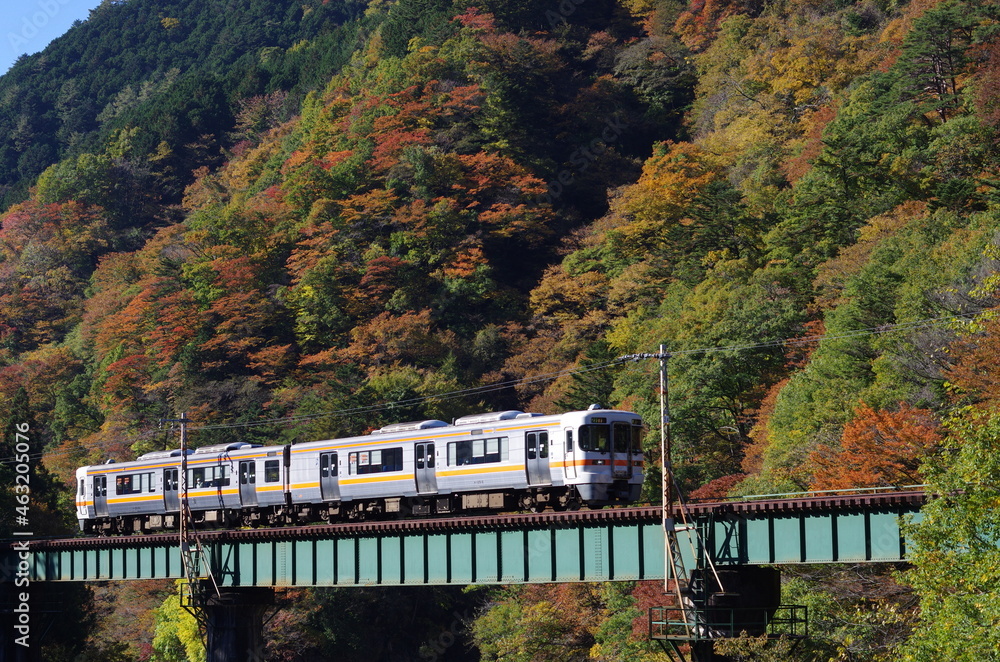 Fall foliage in Takayama, Gifu Japan