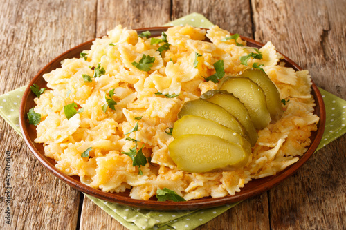 Popular European Granadir march pasta with boiled potatoes and onions served with pickles close-up on a plate on the table. horizontal