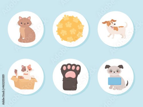 adoption animals icons
