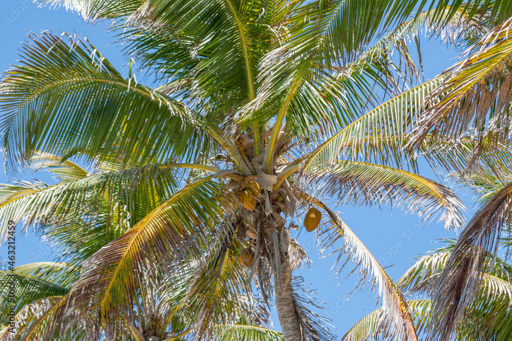 Fototapeta premium Mexico