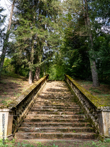 Ancient stairs on a walk through the forest