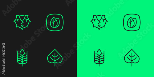 Set line Leaf, Wheat, Chestnut and icon. Vector