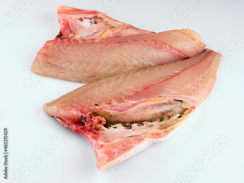 Fish. Gilthead. Sea Bream Fillets on white background