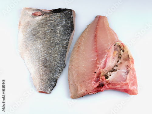 Sea Bream Fillet on white background. Fish. Gilthead.
