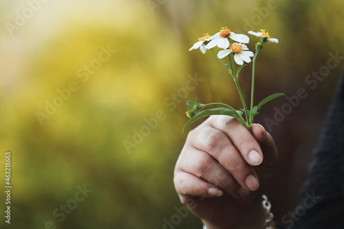 Ordinary roadside flowers in the hands of a young woman