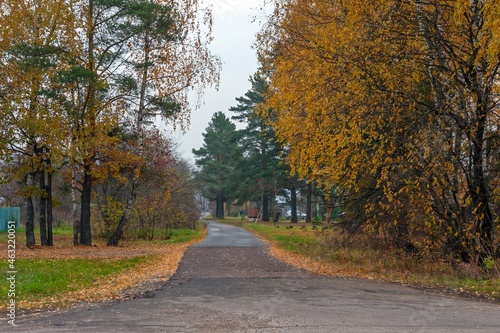 Autumn road in the regional settlement © Valery Kleymenov