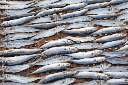 Indonesian salted fish dried on the beach. Food preservation, anchovies are fish that are preserved in dry salt and thus preserved for later eating. 