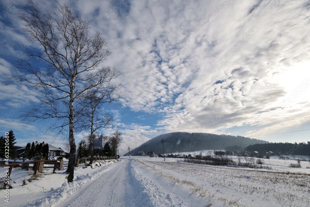 Fototapeta premium landscape with snow, Europe, Poland