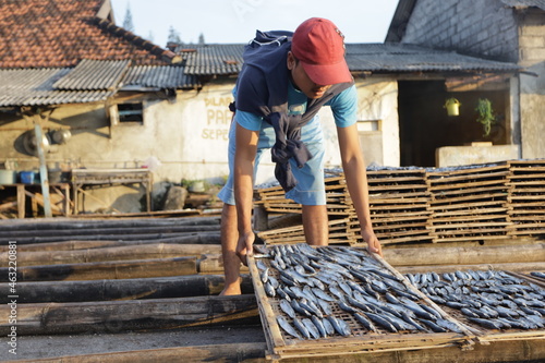 workers are arranging salted fish on bamboo trays to be dried and prepared for sale at the local market. traditional fishing industry at the fish market