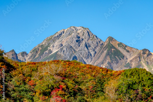 優雅な秋