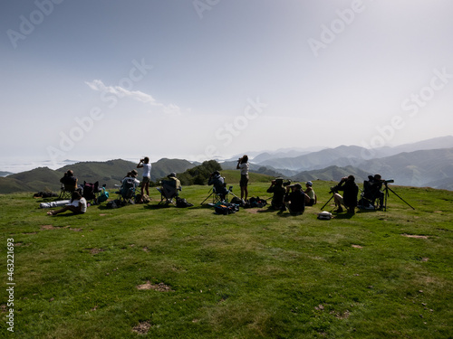 Group of ornithologists looking at birds on a mountain top