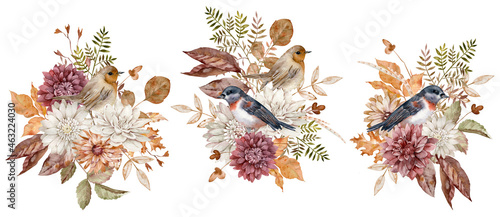 Watercolor fall birds with garden flowers - burgundy, white and terracotta asters and chrysanthemums and autumn leaves. Autumn bouquets.