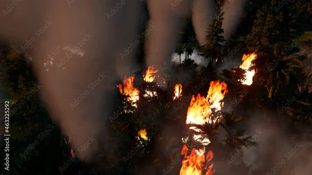4K Video. Aerial, tilt down, drone shot, overlooking trees in flames, Forest fires destroying and causing air pollution, on a dark, summer night. 3D Rendering. 4K Video. Aerial, tilt down, drone shot, overlooking trees in flames, Forest fires destroying and causing air pollution, on a dark, summer night. 3D Rendering.