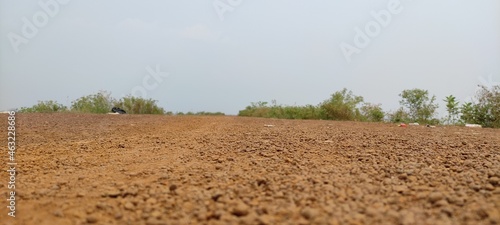 field in the morning