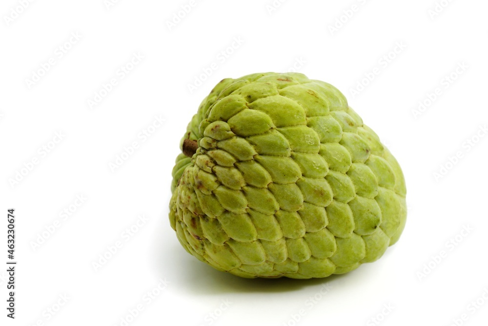 Obraz premium durian isolated on white background