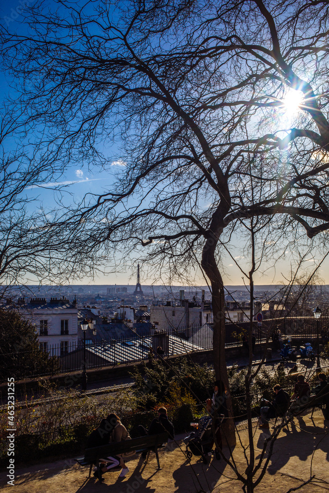 early spring view of Paris and Eiffel Tour through the tree branch in Montmartre 