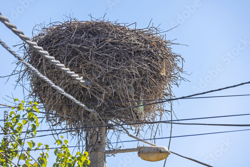 Stork Nest Pole