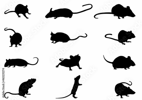 Mice Silhouettes