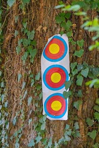 Triple Vertical Target photo