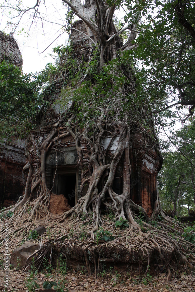 Obraz premium コーケー遺跡