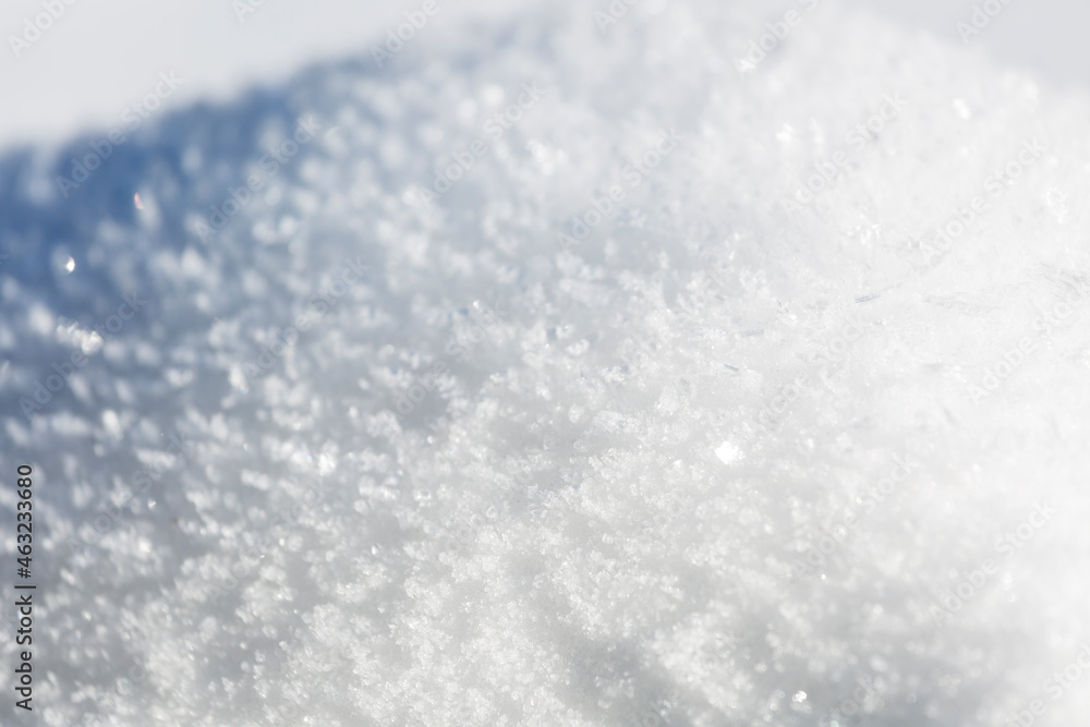 Obraz premium Snow And Ice Flowers